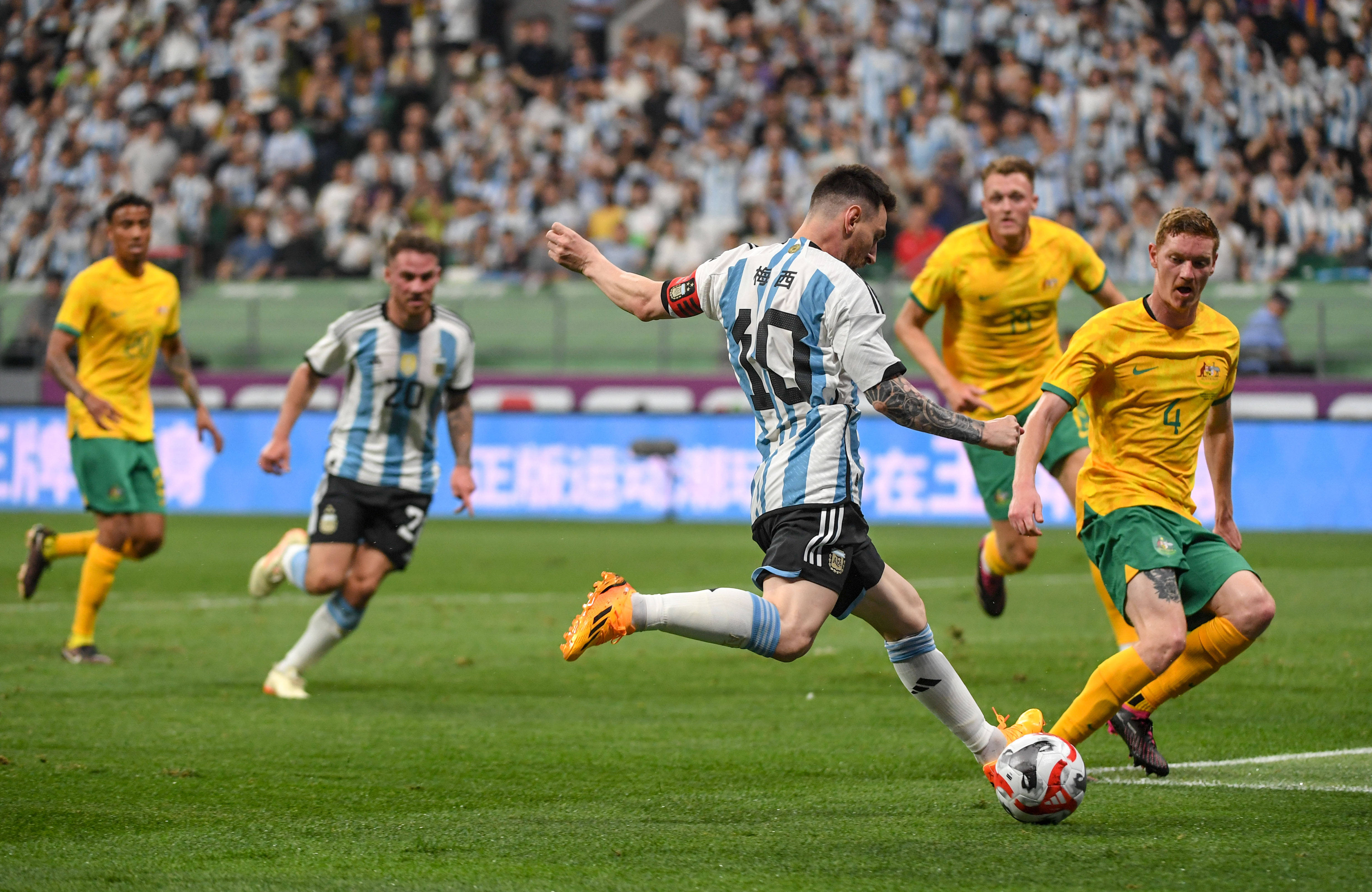 蒂姆迎来五赛季高光表现，澳大利亚队球迷沸腾！的简单介绍